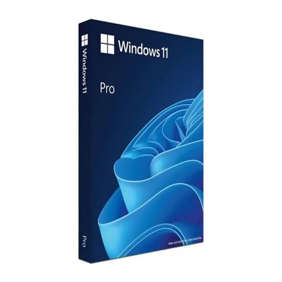 MICROSOFT OEM WINDOWS 11 PROFESIONAL 64 BITS ESPAÑOL LATAM 1 PK DSP DVD